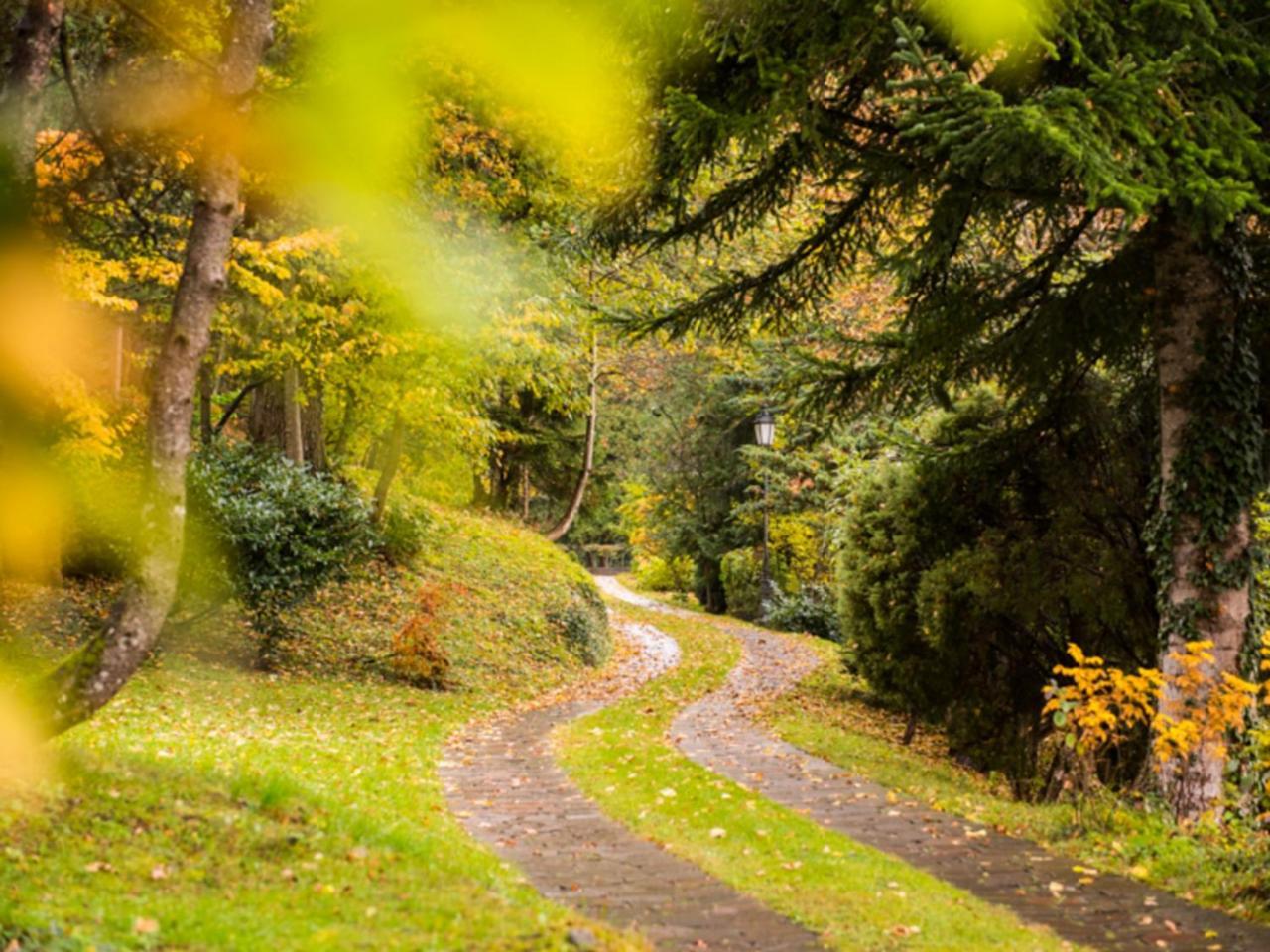 Villa Sawallisch グラッサウ エクステリア 写真